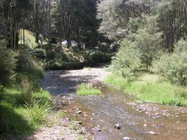 Waharau Regional Park