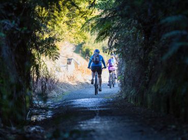 Hauraki Rail Trail